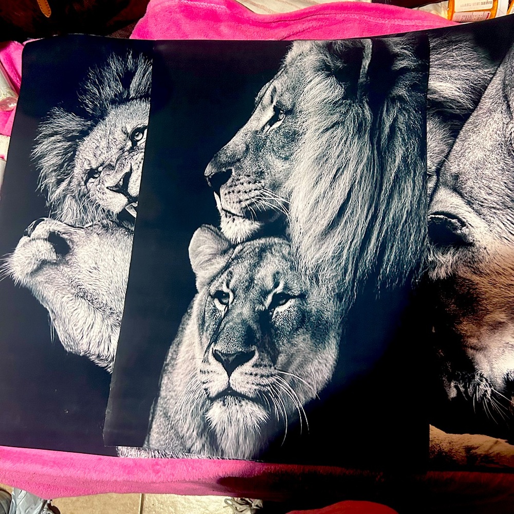 3 awesome pieces of wall canvas not framed